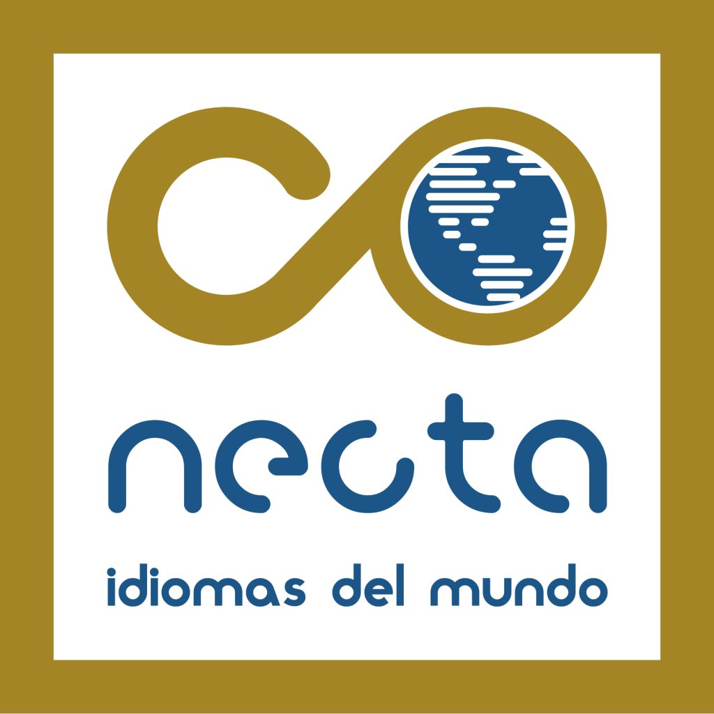 Webinar informativo Trimestre y Año Académico en IRLANDA 2024-2025 2 secundario1 conecta
